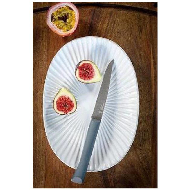 Opinel Bon Appetit Μαχαίρια Φαγητού Σε Διάφορα Χρώματα