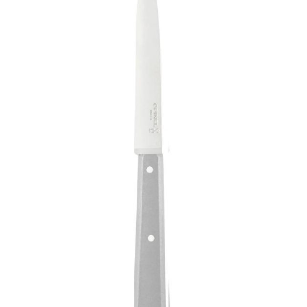 Opinel Bon Appetit Table Knife N°125 Various Colors
